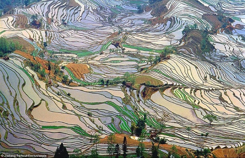 Honghe Hani Rice Terraces inscribed on the UNESCO World Heritage List