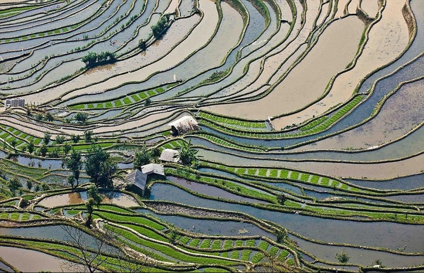 Honghe Hani Rice Terraces inscribed on the UNESCO World Heritage List