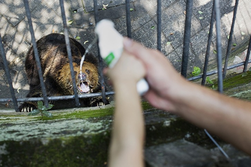 Horrors of zoos from around the world