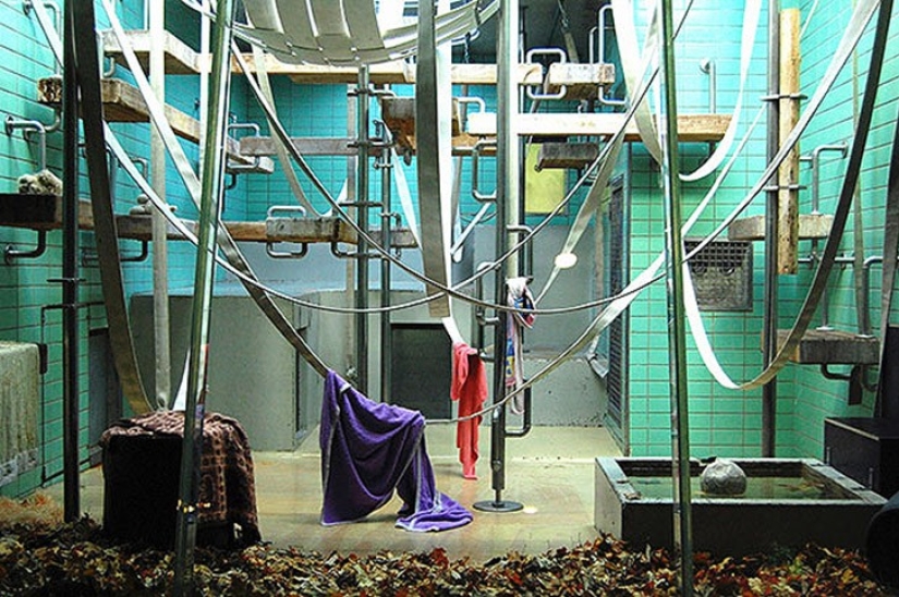 Horrors of zoos from around the world