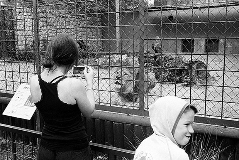 Horrors of zoos from around the world