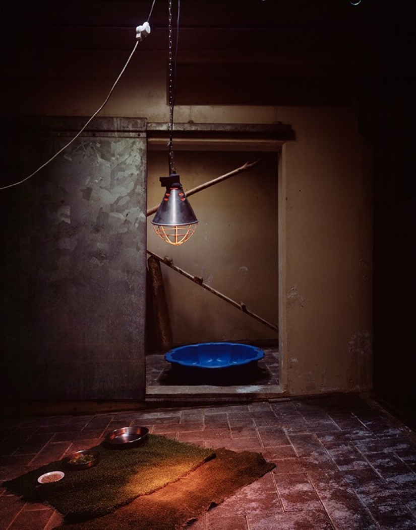 Horrors of zoos from around the world