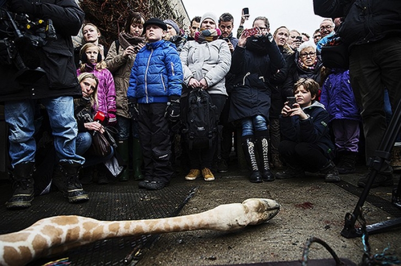 Horrors of zoos from around the world