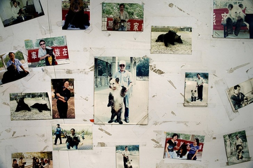 Horrors of zoos from around the world