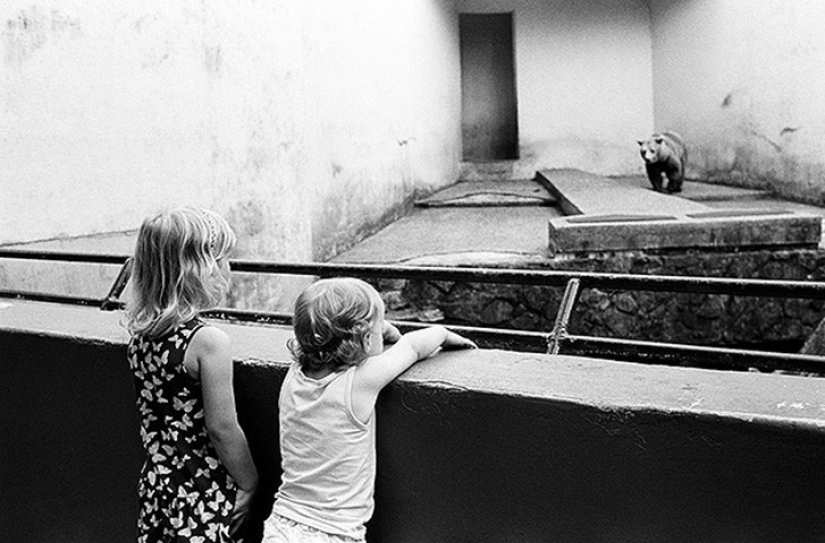 Horrors of zoos from around the world