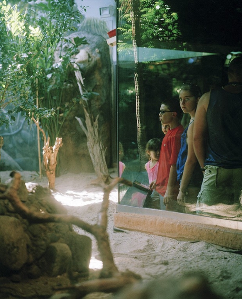 Horrors of zoos from around the world