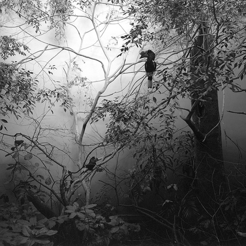 Horrors of zoos from around the world