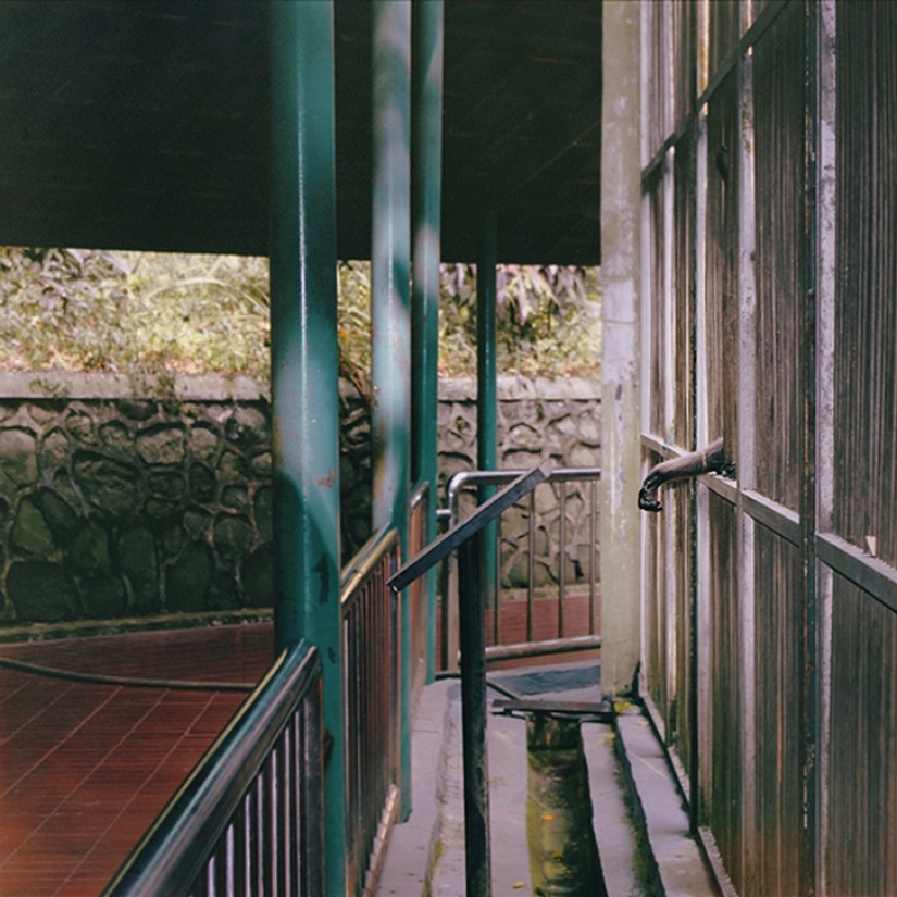 Horrors of zoos from around the world