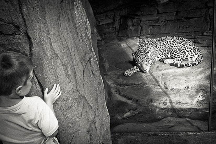 Horrors of zoos from around the world