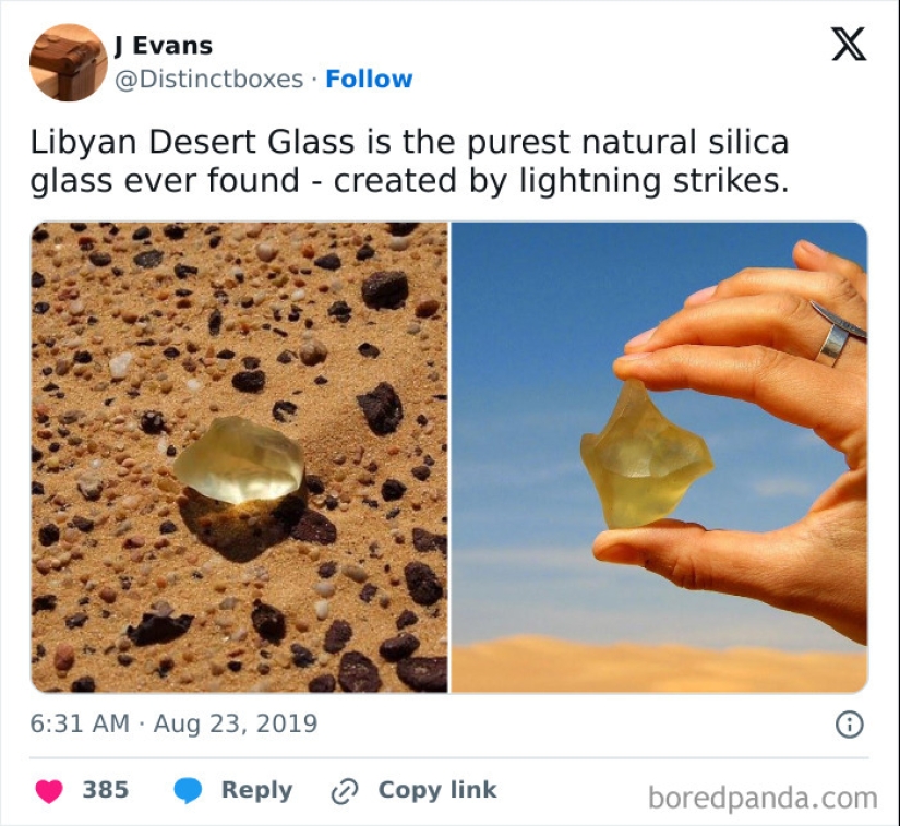 “Hotdog Stand”: 10 Unusual And Bizarre Discoveries That Stunned Desert Explorers