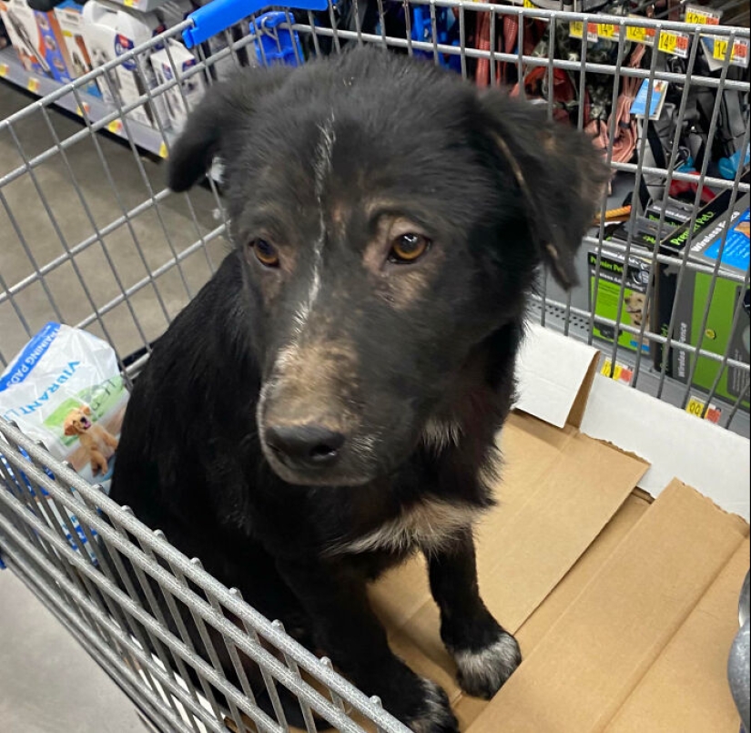 “Hotdog Stand”: 10 Unusual And Bizarre Discoveries That Stunned Desert Explorers