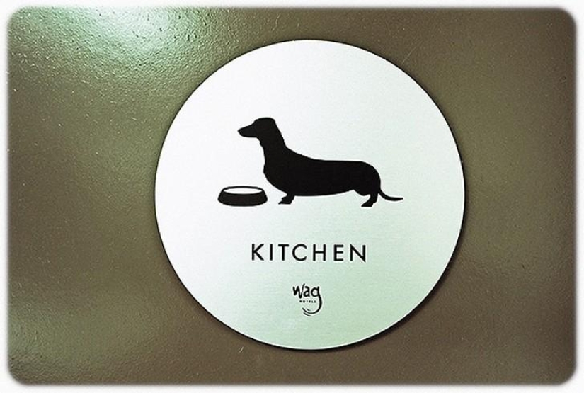 hotel para perros de 5 estrellas