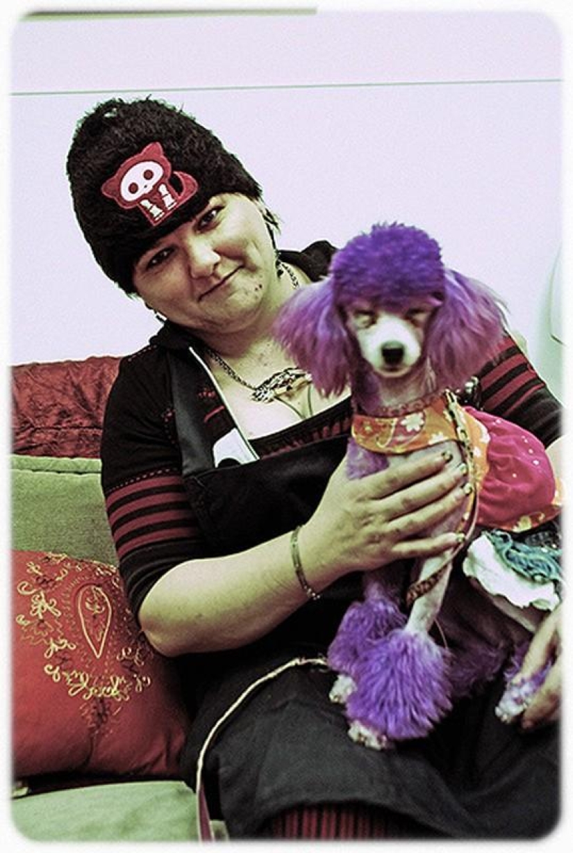 hotel para perros de 5 estrellas