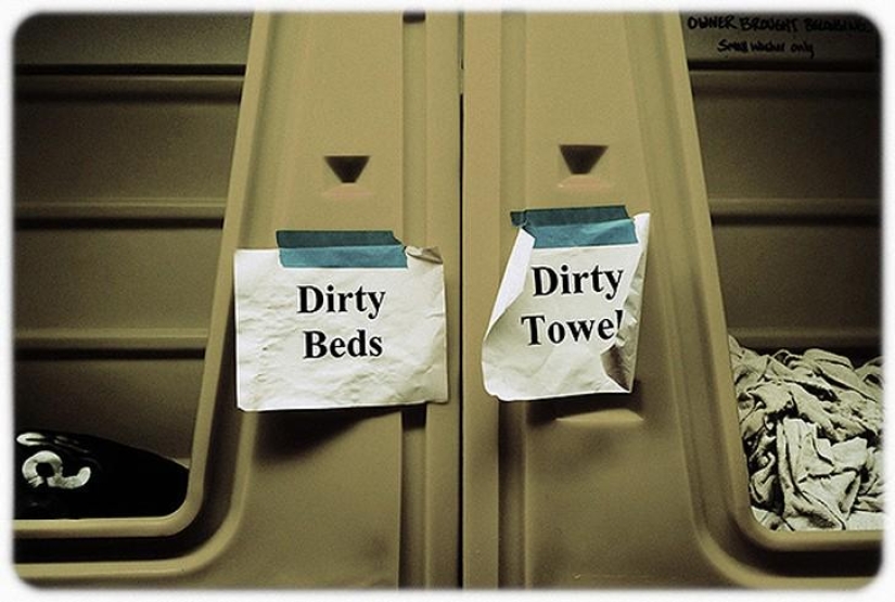 hotel para perros de 5 estrellas