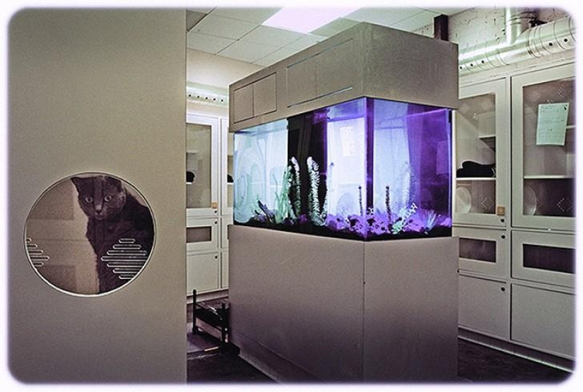 hotel para perros de 5 estrellas