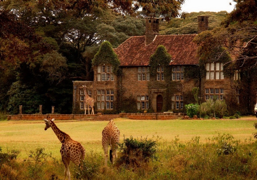 Hotel with giraffes