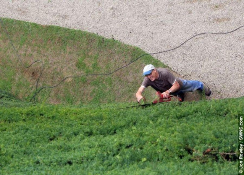 How 300-year-old yews are trimmed