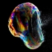 How a bubble bursts