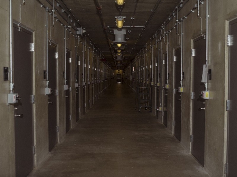 How America Stores Movies in Case of the End of the World How America Stores Movies in Case of the End of the World