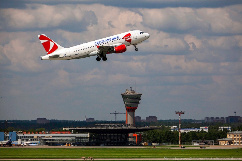 How animals are transported by plane How animals are transported by plane