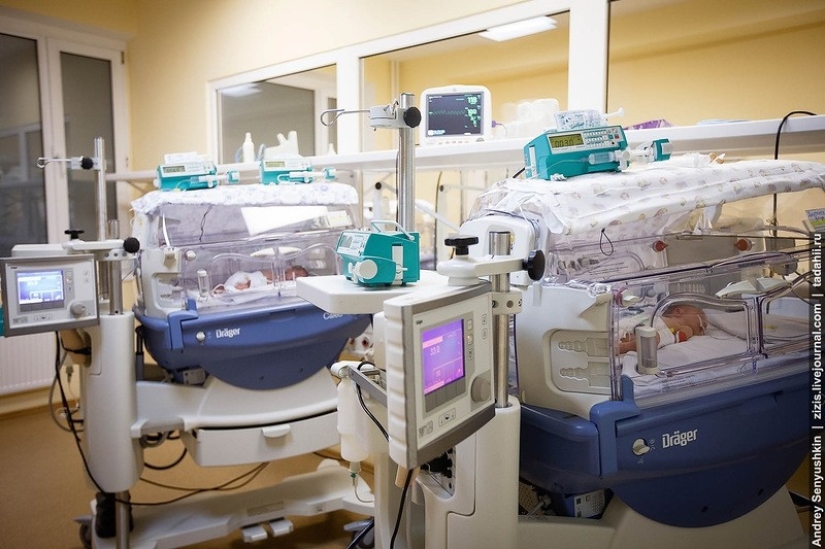 How are newborns saved? Report from pediatric intensive care