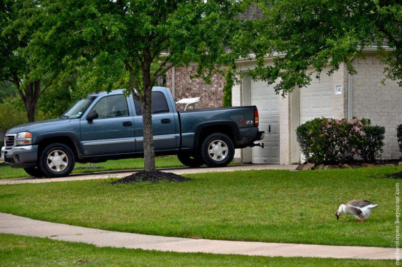 How are residential areas in the US How are residential areas in the US