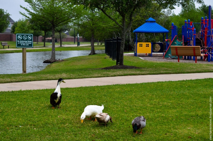 How are residential areas in the US How are residential areas in the US