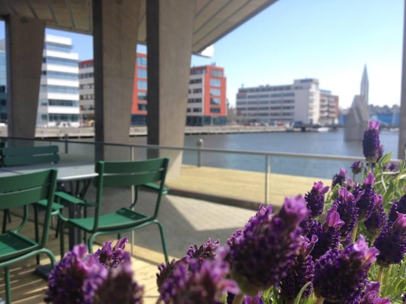 How can a crazy idea come from watching a movie?