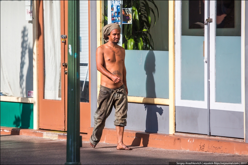 How do homeless people live in Hawaii How do homeless people live in Hawaii