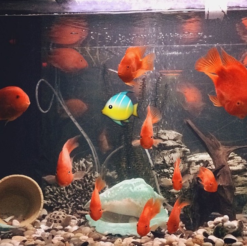 How emoji emoticons penetrated our lives