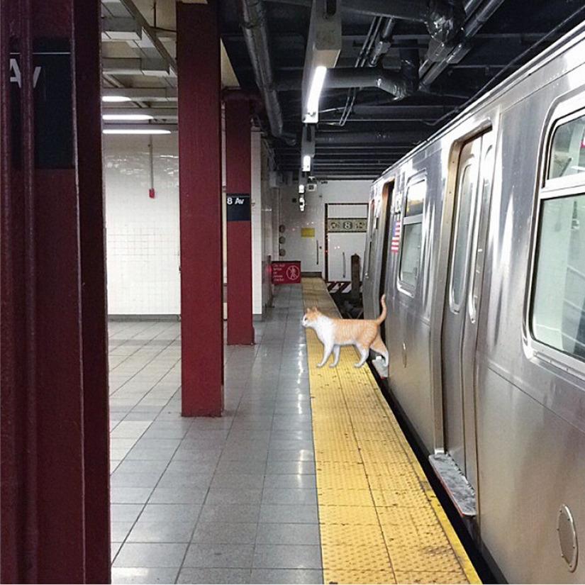 How emoji emoticons penetrated our lives