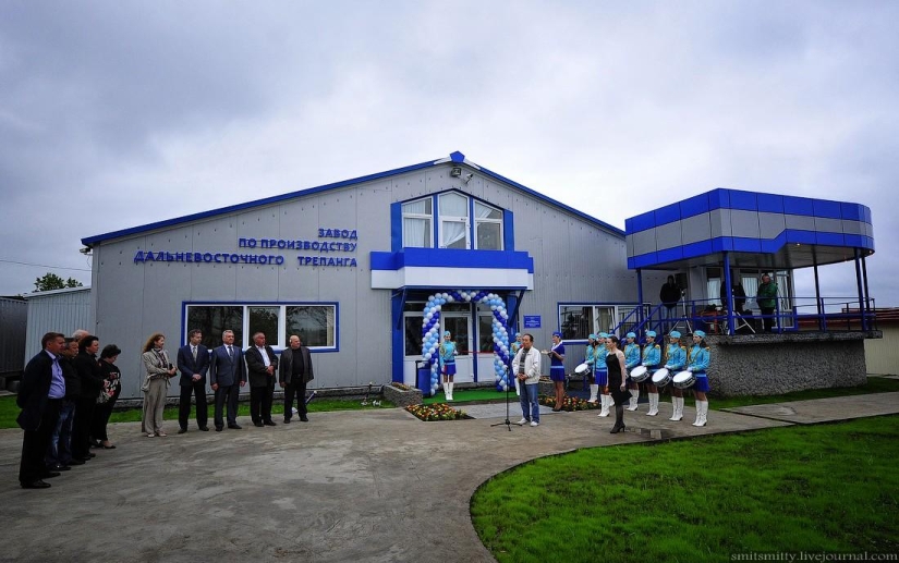 How Far Eastern trepang is grown in Primorye How Far Eastern trepang is grown in Primorye