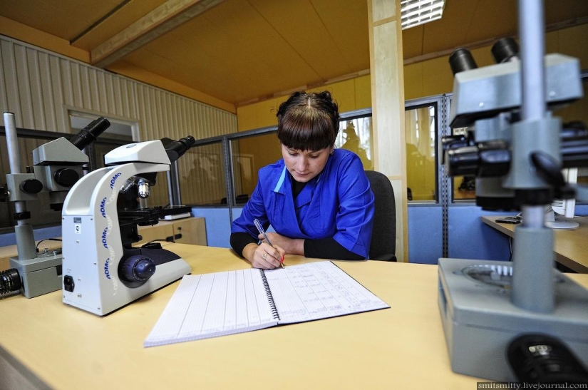 How Far Eastern trepang is grown in Primorye How Far Eastern trepang is grown in Primorye