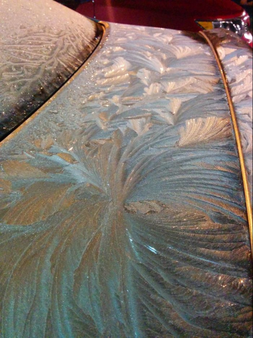 How frost turns cars into art objects How frost turns cars into art objects