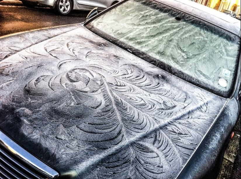 How frost turns cars into art objects How frost turns cars into art objects