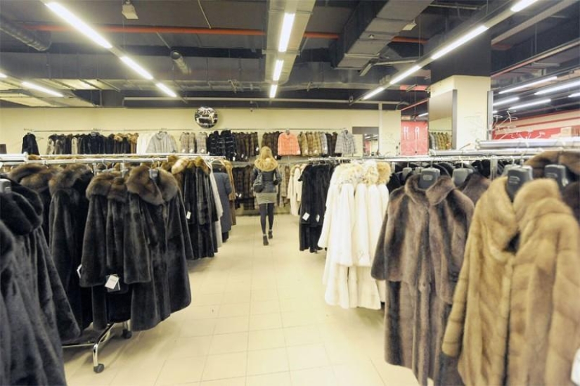 How fur coats are sewn in Russia: from an idea to a hanger How fur coats are sewn in Russia: from an idea to a hanger