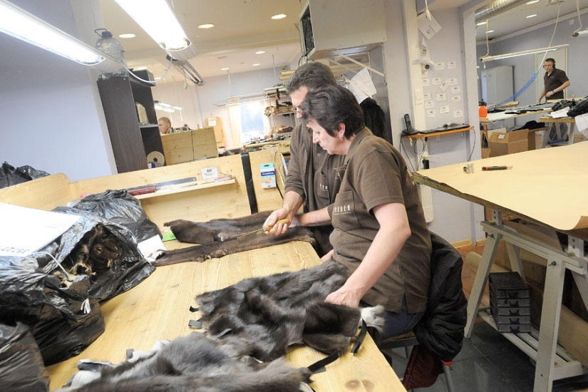 How fur coats are sewn in Russia: from an idea to a hanger