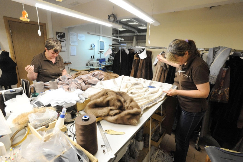 How fur coats are sewn in Russia: from an idea to a hanger