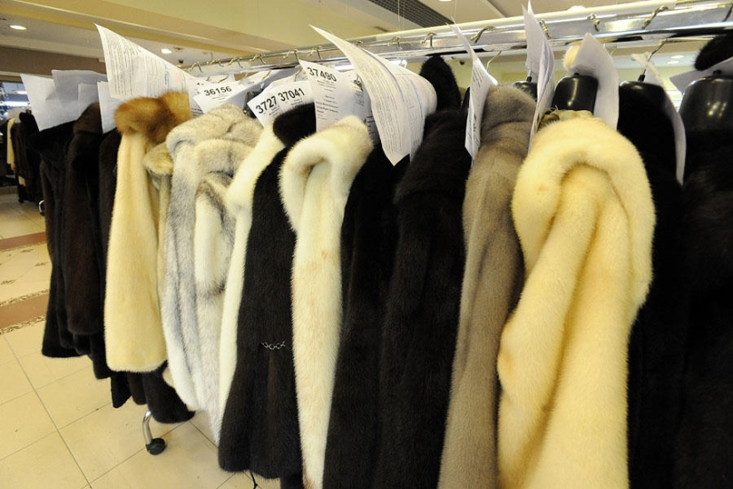 How fur coats are sewn in Russia: from an idea to a hanger