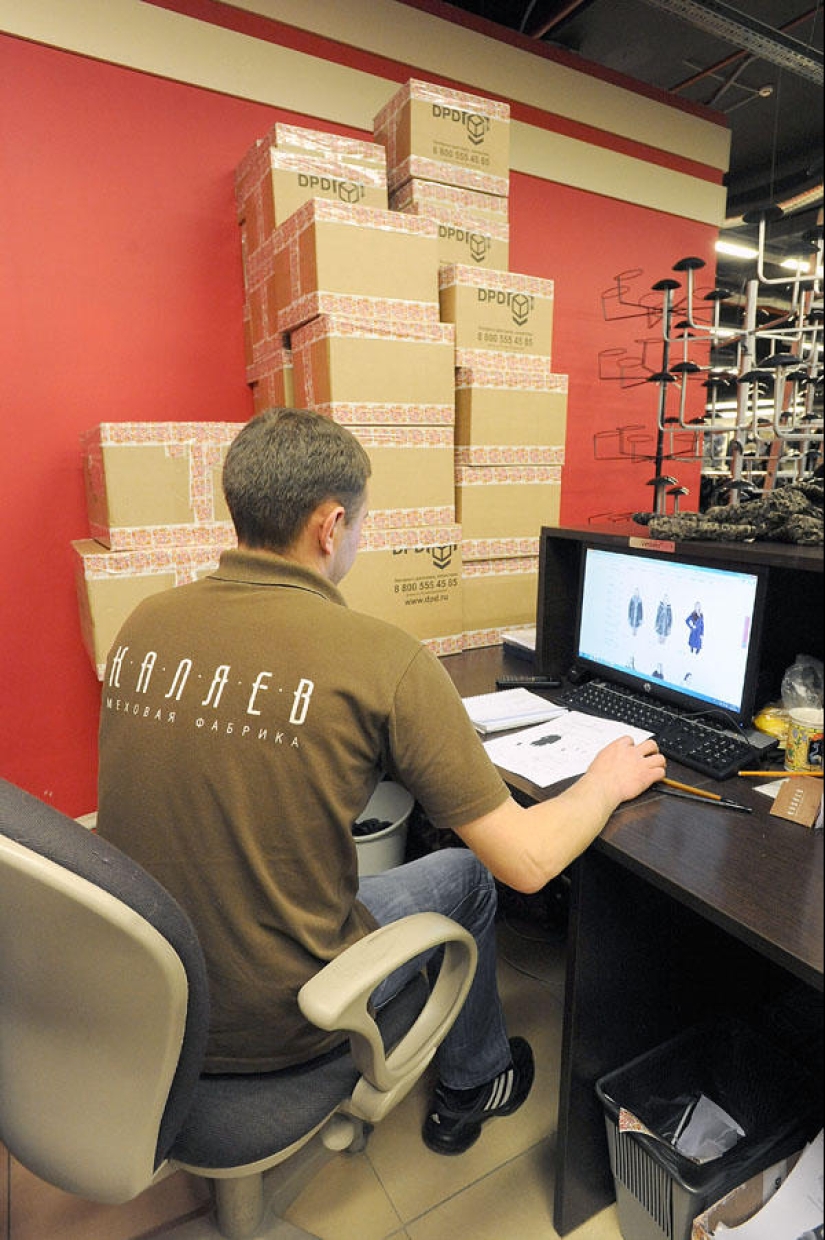 How fur coats are sewn in Russia: from an idea to a hanger How fur coats are sewn in Russia: from an idea to a hanger