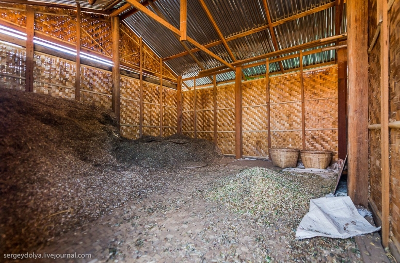 How is life in a wealthy village in Burma? How is life in a wealthy village in Burma?