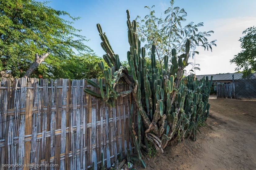 How is life in a wealthy village in Burma? How is life in a wealthy village in Burma?