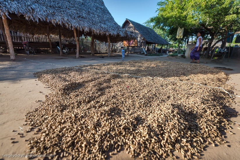 How is life in a wealthy village in Burma? How is life in a wealthy village in Burma?