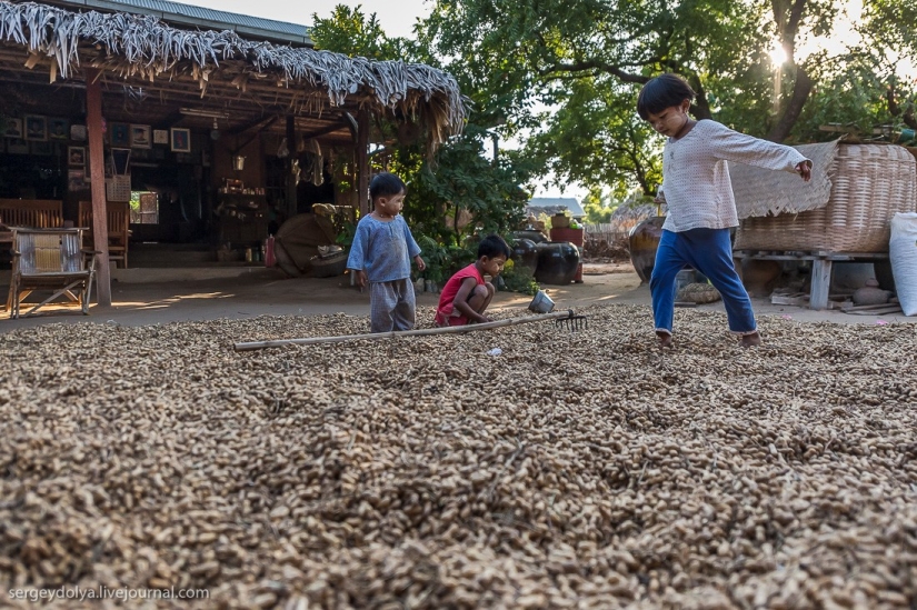 How is life in a wealthy village in Burma? How is life in a wealthy village in Burma?