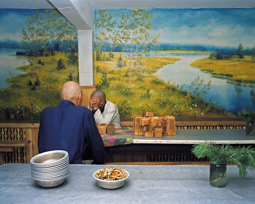 How juvenile prisoners live in Siberian colonies