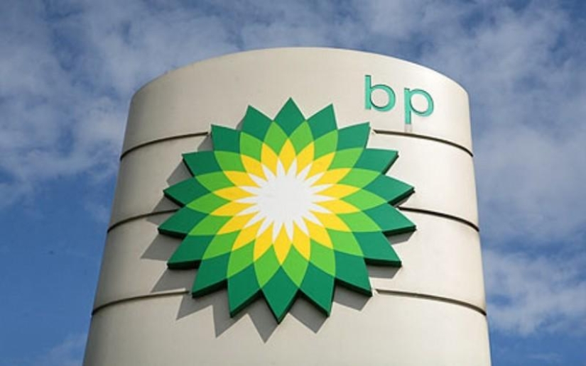 How much did it cost to develop logos for various brands?