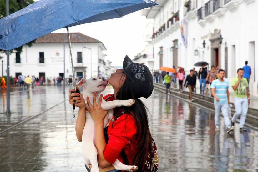 How one photographer proved that love rules the world