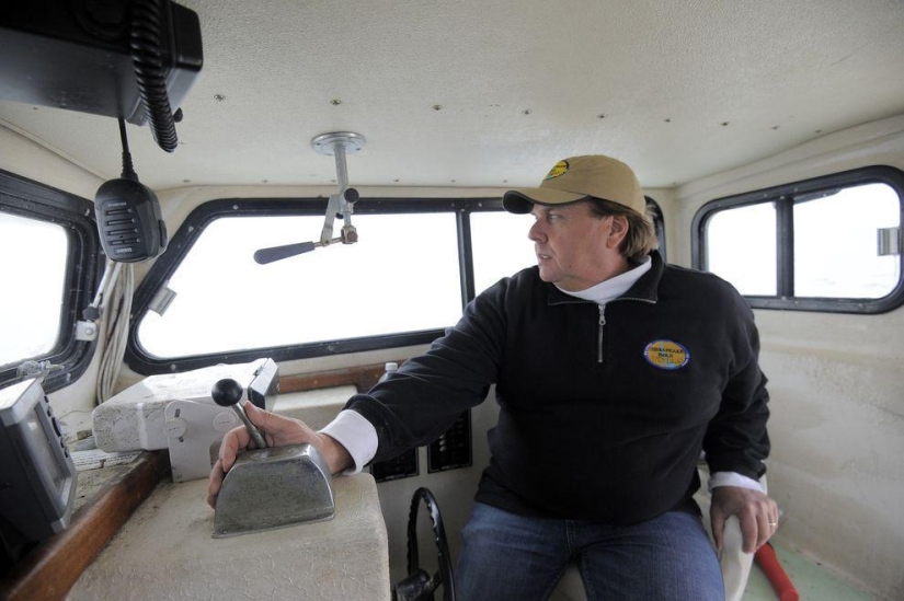 How oysters are grown on farms in the Chesapeake Bay
