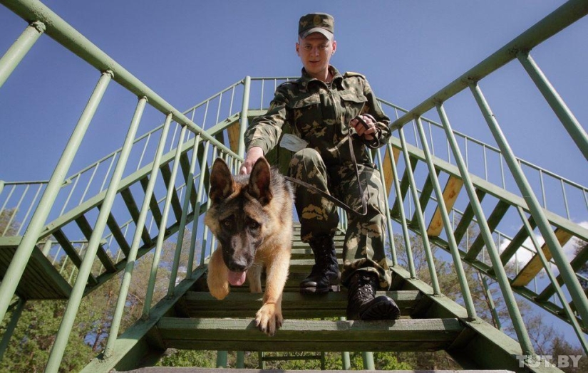 How Puppies Become Border Guards