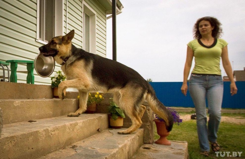 How Puppies Become Border Guards